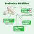 Probiotic 40 Billion CFU, 60 Capsules, Daily Immune Balance for Gut & Digestive Health, Non-GMO