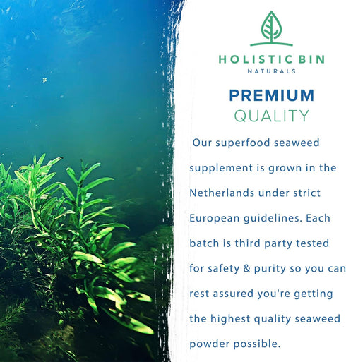 Marine Phytoplankton Powder by Holistic Bin - Vegan Omega 3 Supplement Naturally Grown in Nordic Seawater (50g)