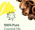 Plant Therapy Germ Fighter Essential Oil Blend - 10 mL (1/3 oz) - Pure, Natural Aromatherapy