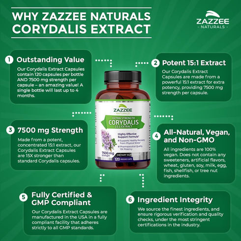 Zazzee Extra Strength Corydalis 15:1 Extract, 7500 mg Strength, 120 Vegan Capsules, Non-GMO