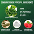 Green Tea Extract Pills - 98% Standardized EGCG 1300mg for Energy, Heart & Antioxidant Health - 60 Capsules