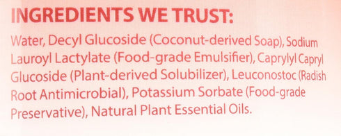 Eco Me Natural Sudsing Liquid Dish Soap, Healthy Citrus Berry Scent, 16 Ounces