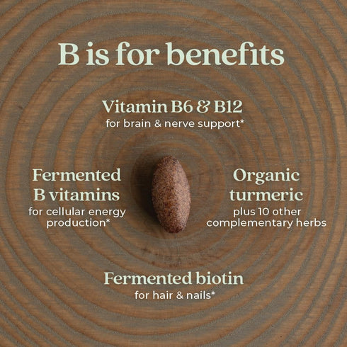 New Chapter Vitamin B Complex – Fermented Coenzyme B Complex with Vitamin B12 + B6 + Biotin - 90 ct