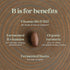 New Chapter Vitamin B Complex – Fermented Coenzyme B Complex with Vitamin B12 + B6 + Biotin - 90 ct