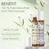 Essential Oils Roll On Set 6 Pack - Relax, Sleep, Balance, Breathe, Focus, Happiness - Aromatherapy Oil Blends.