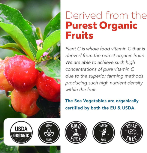 Organic Vitamin C | Whole Food Vitamin C from Fruit with Absorption Enhancing Cofactors - Vegan, 90 Servings