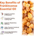 ITSDAWN 2.02 Fl.Oz Frankincense Essential Oil, Premium Frankenstein Oil Essential Oil for Face, Hair Care, Body, Home