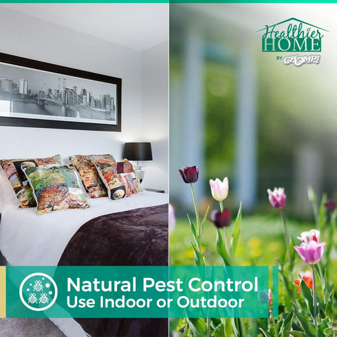 CHOMP! Insect and Pest Control Spray, 24 Ounces, Plant-Based Formula for Indoor & Outdoor Use