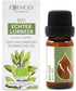 Essences Bulgaria Organic Bay Leaf Essential Oil - 1/3 Fl Oz | 10ml | 100% Pure and Natural, Therapeutic Grade