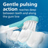 Sonicare for Kids Design a Pet Edition, Brush Head Bundle