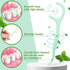 2000 Count Natural Dental Floss Picks - Sustainable High Pull Tooth Flosser Picks for Teeth (Green)