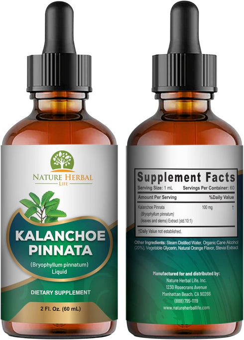 Nature Herbal Life 1 2 oz Kalanchoe Pinnata (Bryophyllum Pinnatum), Glycerite, Dried Leaf and Stem Liquid Extract.