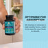 Ancient Nutrition Multivitamin for Men, Fermented with Vitamin A, C, D, E, K, Zinc & Magnesium, Vegan, 60 Ct