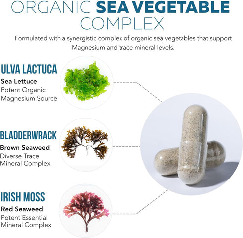 Organic Magnesium | Whole Food Magnesium - Plant-Based, 250 mg per Serving | Gentle on Stomach | 60 Capsules