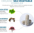 Organic Magnesium | Whole Food Magnesium - Plant-Based, 250 mg per Serving | Gentle on Stomach | 60 Capsules