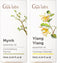 Myrrh Oil for Skin & Ylang Ylang Essential Oil for Skin Set