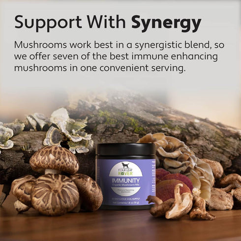 Immunity Organic Mushroom Complex for Dogs, 15 to 60 Day Supply, Vet Formulated, Rich in Beta Glucans