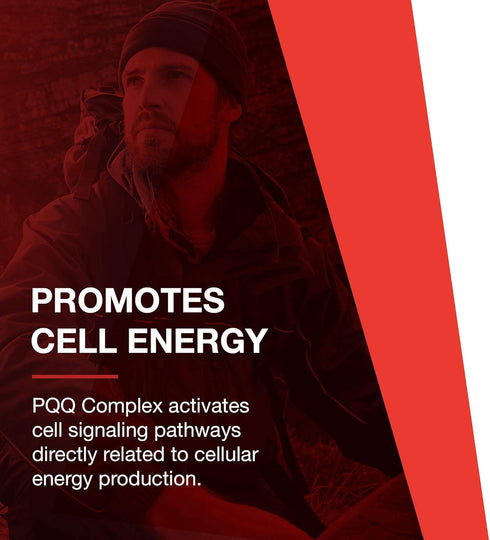 Protocol PQQ Complex - Mitochondrial Health with CoQ10 & L Carnitine - Energy Supplements - 30 Veg Caps
