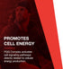 Protocol PQQ Complex - Mitochondrial Health with CoQ10 & L Carnitine - Energy Supplements - 30 Veg Caps