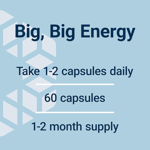 Life Extension Super R-Lipoic Acid 240 mg - 60 Vegetarian Capsules for Anti-Aging and Liver Health