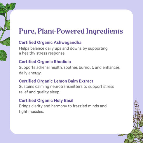 PURE SYNERGY Stress Remedy Supplement with Ashwagandha | Organic Adaptogen Support from Rhodiola, Lemon Balm, 60
