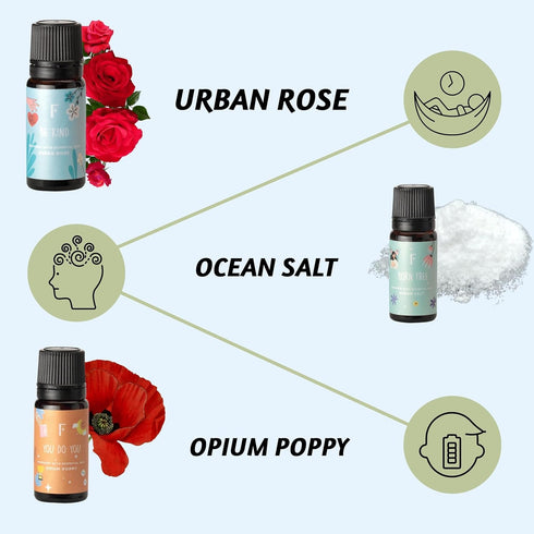 Set 6 Set Folkulture Essential Oils | Relaxing Fragrance Oils for Diffusers | Green Tea, Cashmere, Ocean Salt and More|