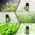 Set, Set SALKING Spring Fragrance Oils Premium Essential Oils Gift for Diffuser, Scented Oil for Soap & Candle Making