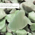 Gua Sha Facial Tools - Natural Jade Guasha Tool for Face, Double Chin & Jawline, Self-Skin Care for Women