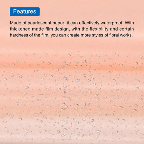 MECCANIXITY Tissue Gift Wrapping Paper Light Champagne 19.69x27.56 Inch for DIY Crafts, Pack of 100