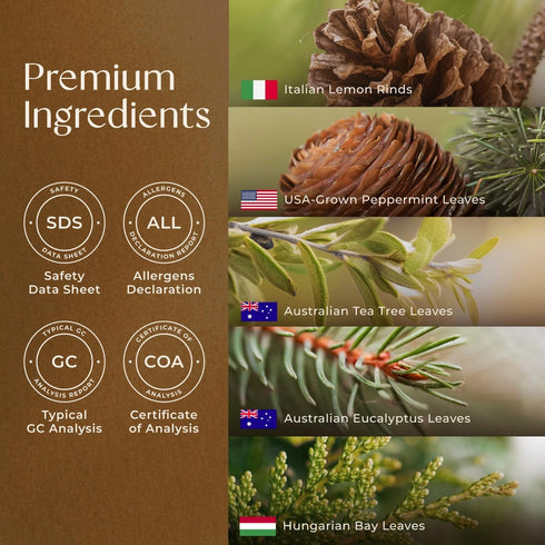 Gya Labs Breathe Essential Oil Blends, 100% Pure Natural Essential Oils from Eucalyptus, Peppermint and More for