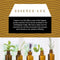 30ml Sandalwood Essential Oil, Pure Aromatherapy Oil, 1 Fluid Ounce