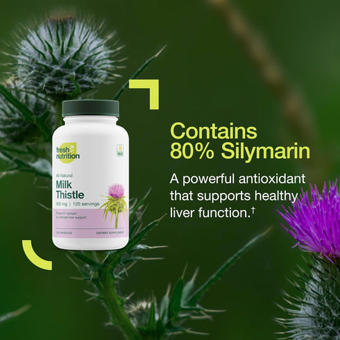 Fresh Nutrition Organic Milk Thistle Supplement, 2000mg Potent Strength, 120 Capsules Made in The USA