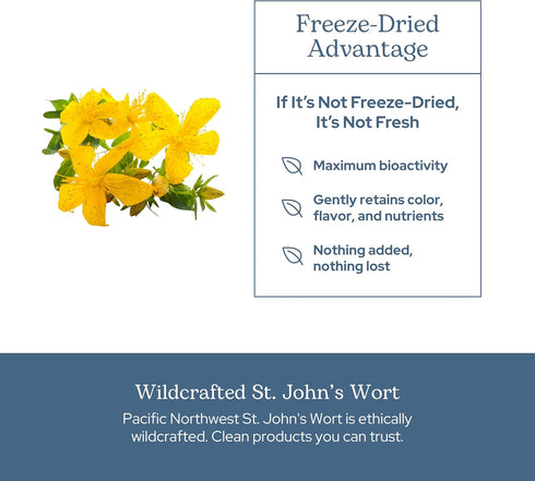 Immune (120 300 Eclectic Herb - St. John's Wort Capsules | Nervous System & Support | Promotes a Positive Mood | Vegan