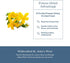 Immune (120 300 Eclectic Herb - St. John's Wort Capsules | Nervous System & Support | Promotes a Positive Mood | Vegan