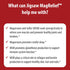 Jigsaw Health MagRelief Ultra Pure Magnesium Lotion with Zechstein Magnesium Chloride and OptiMSM, Fragrance Free