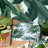 SOLAS Paper Palm Leaf Plates - Fully Compostable Jungle Party Plates, Eco-Friendly, Pack of 20, 9 Inch