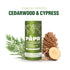 PAPR Nature Powered All Natural Deodorant, Clinically Proven in Zero Waste Paper Packaging (Coastal Forest)