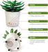 Sleep Plant Sound Machine - Fan Sounds - White Noise - Nature Sounds