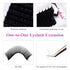 Lash Extensions Regular Volume Mixed Tray, 0.03 B Curl 8-14mm Premium Mink Silk Eyelash Extensions