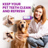 Dental Hygiene Kit, Stainless Steel Tool Set for Calculus & Plaque Removal - Includes Tarter Scraper, Tooth Pick, Mouth