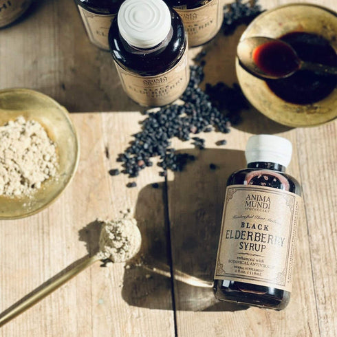 Anima Mundi Organic Black Elderberry Syrup - 4oz with Skullcap Baikal, Cordyceps, Reishi, Shiitake & Maitake Mushrooms