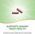 Nature's Way 930 2-Capsule 100 (Packaging Cranberry Fruit, Cranberry Supplements, Supports Urinary Tract Health*, mg