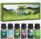 SALKING Nature Fragrance Oils, Premium Essential Oil for Diffuser, Gift Set for Soap Candle Making