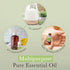 Pranarom USDA Organic Helichrysum Essential Oil (2ml), 100% Pure for Skincare, Aromatherapy & Wellness