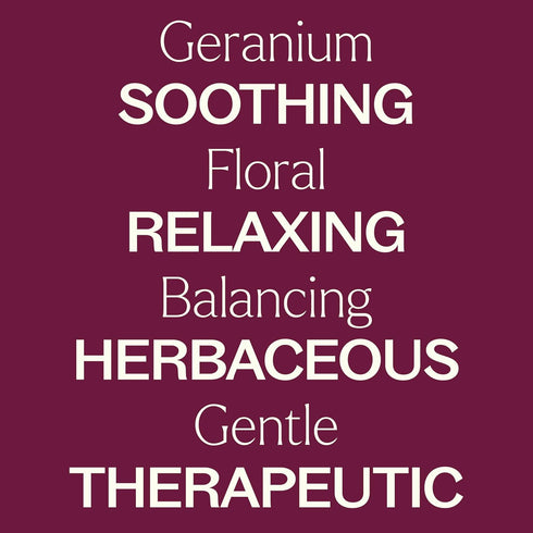 Plant Therapy Geranium Bourbon Essential Oil, 100% Pure, 10 mL (1/3 oz), Natural Aromatherapy