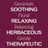 Plant Therapy Geranium Bourbon Essential Oil, 100% Pure, 10 mL (1/3 oz), Natural Aromatherapy