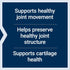 Life Extension Glucosamine/Chondroitin Capsules - Healthy Joints & Cartilage - 100 Capsules
