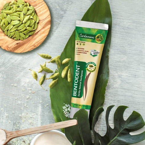 Pack 2) Bentodent Natural Toothpaste for Entire Family Incl Kids - SLS Free, Fluoride Free - Freshens Breath, Helps