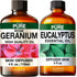 Rose Geranium Oil for Skin & Eucalyptus Essential Oil for Diffuser Set