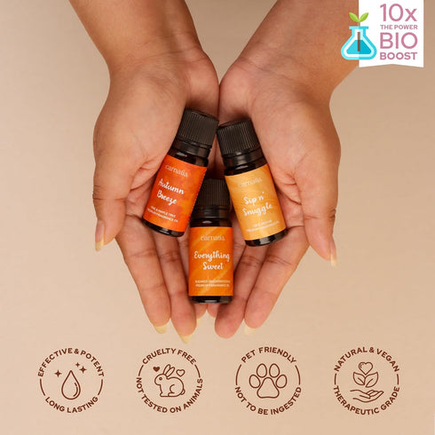 Set Pack 6 Cozy, Carnatia Fall Whispers Aroma Oil - of | Nostalgic Scents for Diffusers | Embrace Autumns Warmth